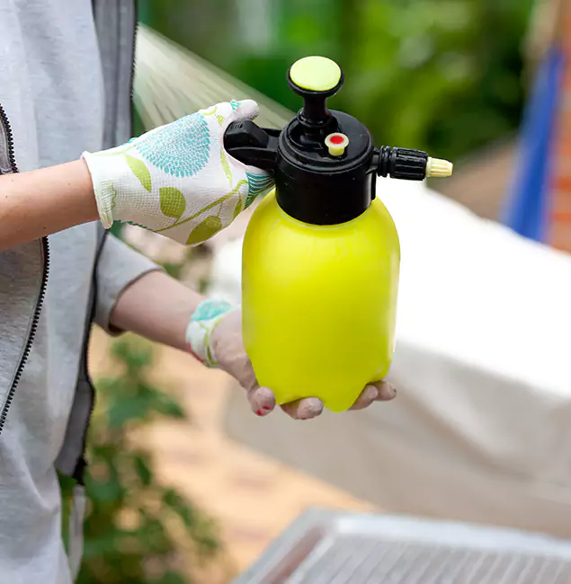 Why Choose Us: Lyndhurst Pest Control Pro Termite Spraying Experts in Lyndhurst, NJ?