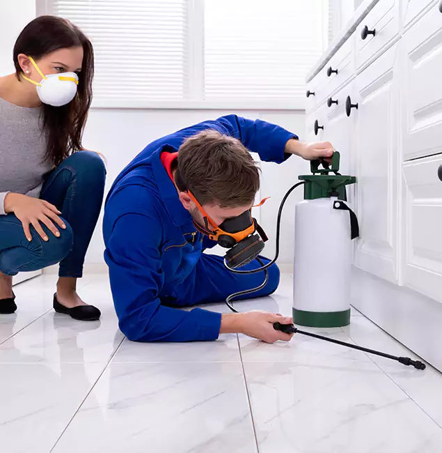 Why Choose Wood Termite Treatment by Lyndhurst Pest Control Pro in Lyndhurst, NJ?