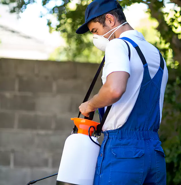Why Lyndhurst Pest Control Pro Is the Right Choice for Yellow Jacket Removal in Lyndhurst, NJ?