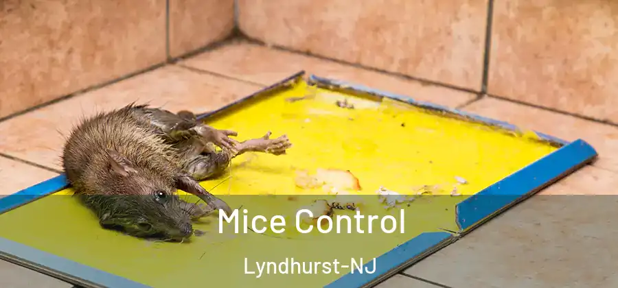 Mice Control Lyndhurst-NJ