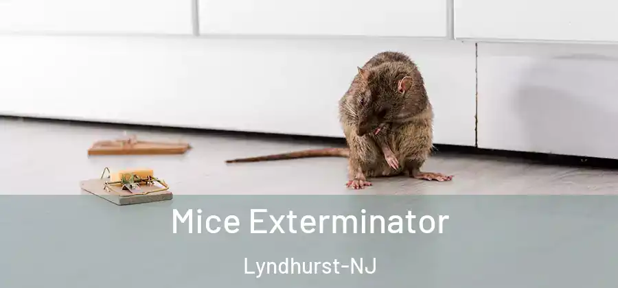 Mice Exterminator Lyndhurst-NJ