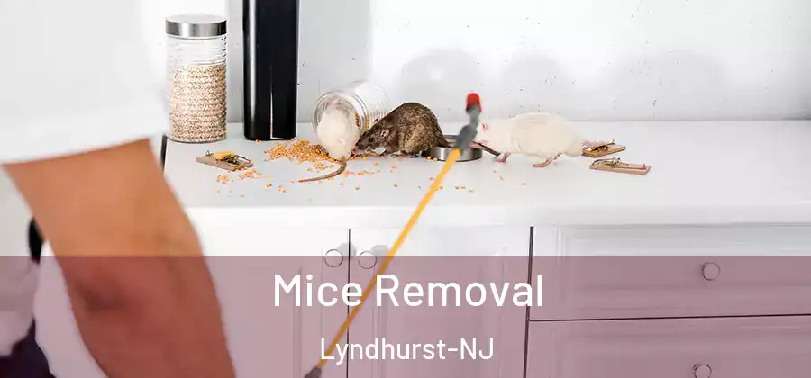 Mice Removal Lyndhurst-NJ