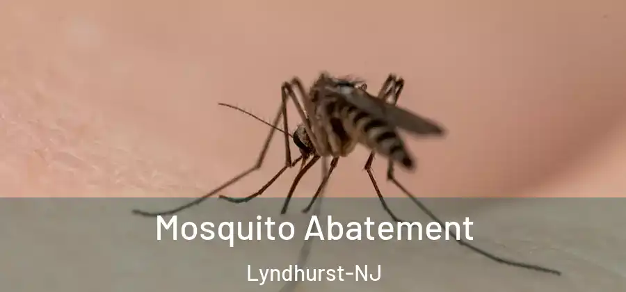  Mosquito Abatement Lyndhurst-NJ