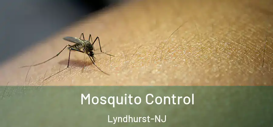  Mosquito Control Lyndhurst-NJ