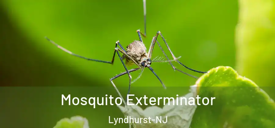 Mosquito Exterminator Lyndhurst-NJ