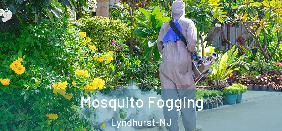  Mosquito Fogging Lyndhurst-NJ