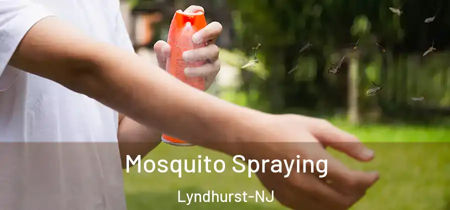 Mosquito Spraying Lyndhurst-NJ