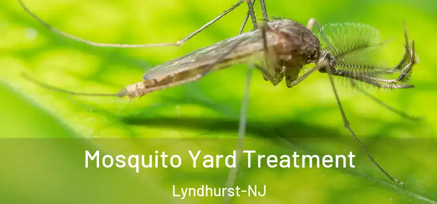 Mosquito Yard Treatment Lyndhurst-NJ