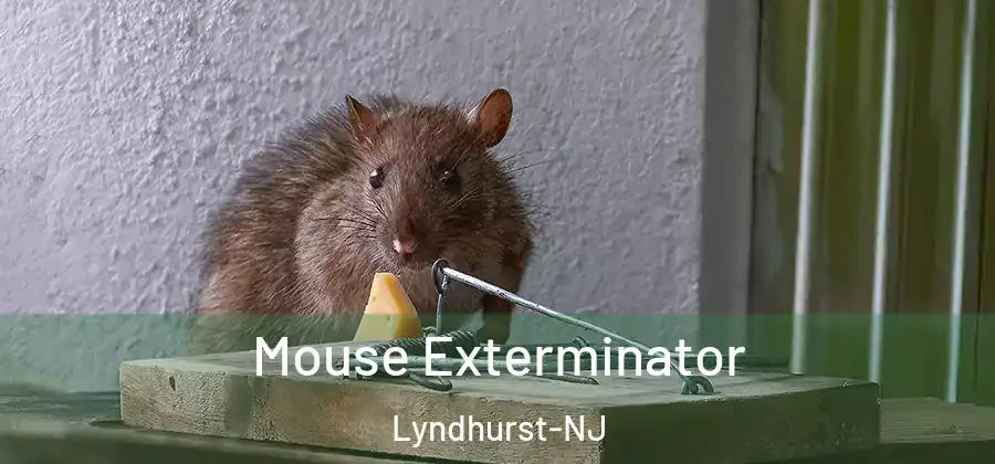 Mouse Exterminator Lyndhurst-NJ