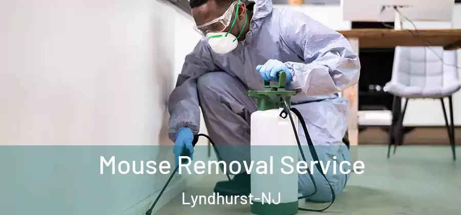  Mouse Removal Service Lyndhurst-NJ
