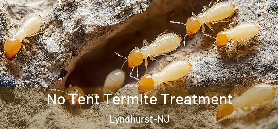  No Tent Termite Treatment Lyndhurst-NJ