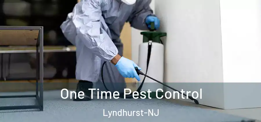 One Time Pest Control Lyndhurst-NJ