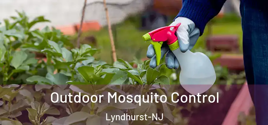  Outdoor Mosquito Control Lyndhurst-NJ