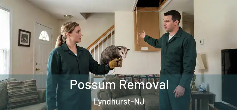 Possum Removal Lyndhurst-NJ