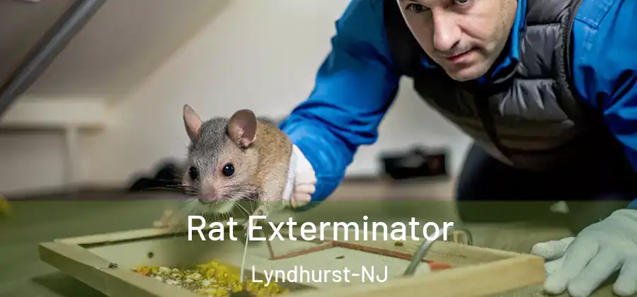  Rat Exterminator Lyndhurst-NJ