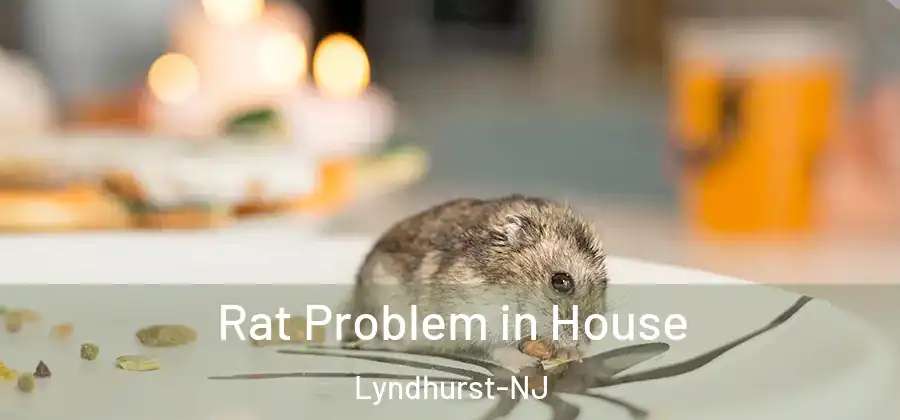 Rat Problem in House Lyndhurst-NJ