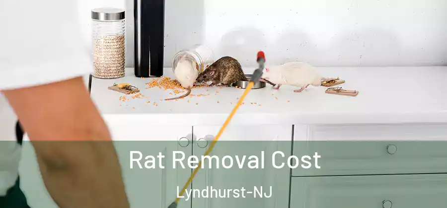  Rat Removal Cost Lyndhurst-NJ