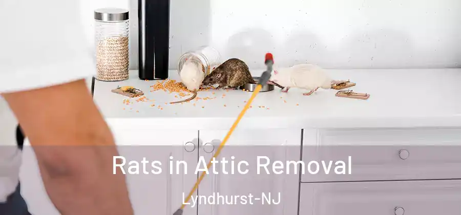  Rats in Attic Removal Lyndhurst-NJ