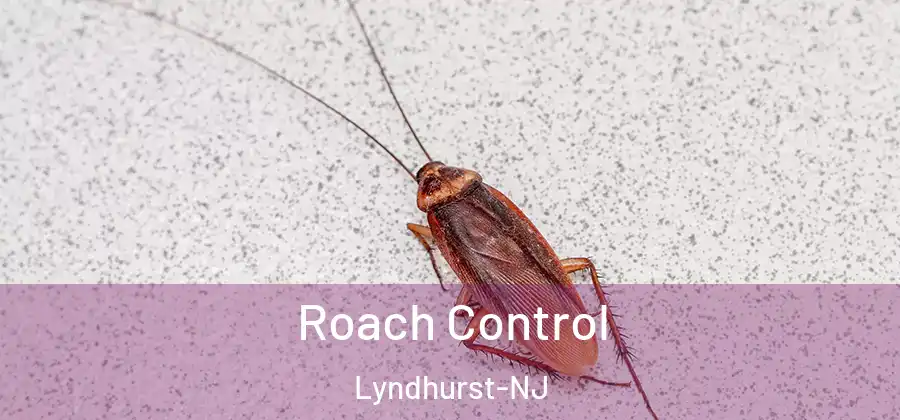  Roach Control Lyndhurst-NJ