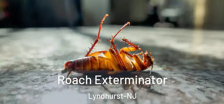  Roach Exterminator Lyndhurst-NJ