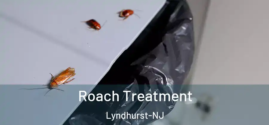 Roach Treatment Lyndhurst-NJ