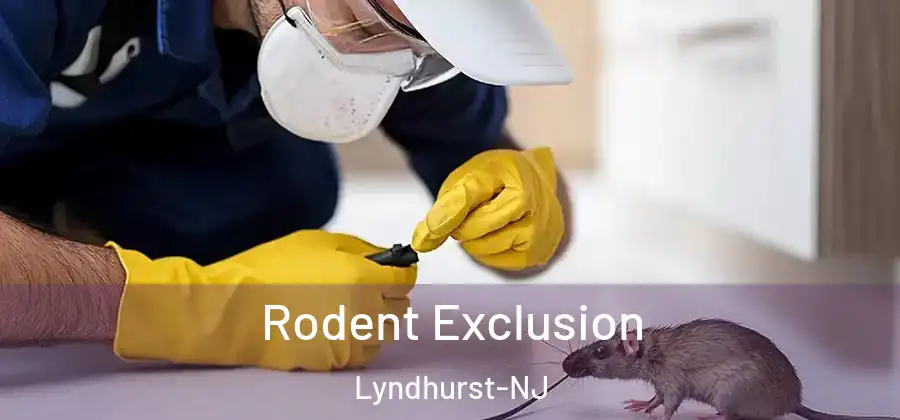 Rodent Exclusion Lyndhurst-NJ