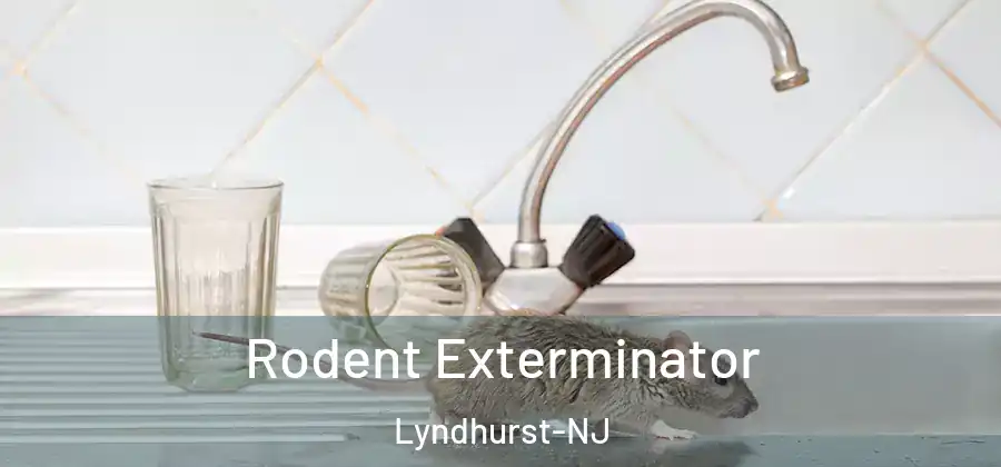 Rodent Exterminator Lyndhurst-NJ