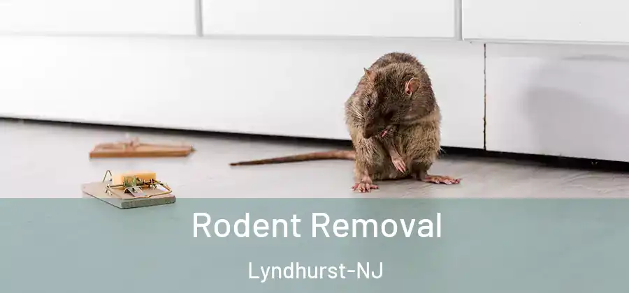 Rodent Removal Lyndhurst-NJ