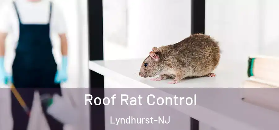 Roof Rat Control Lyndhurst-NJ