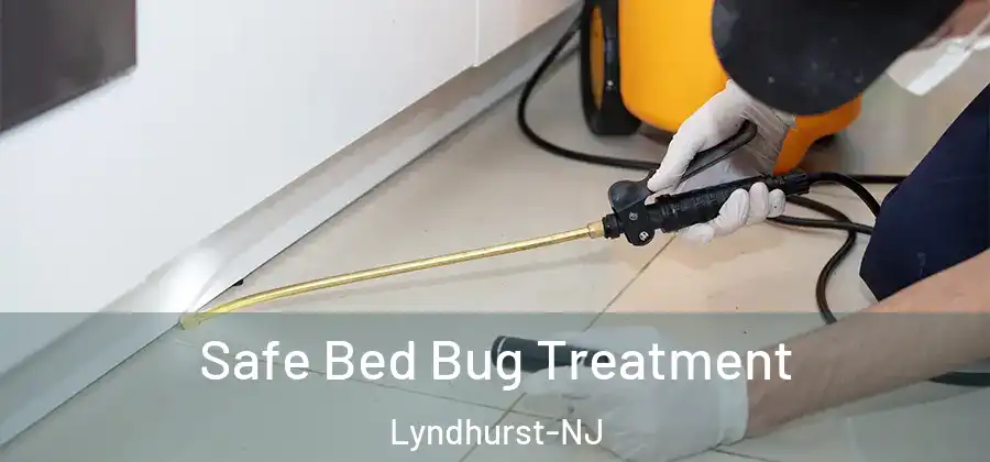 Safe Bed Bug Treatment Lyndhurst-NJ
