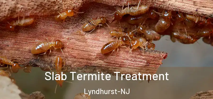  Slab Termite Treatment Lyndhurst-NJ