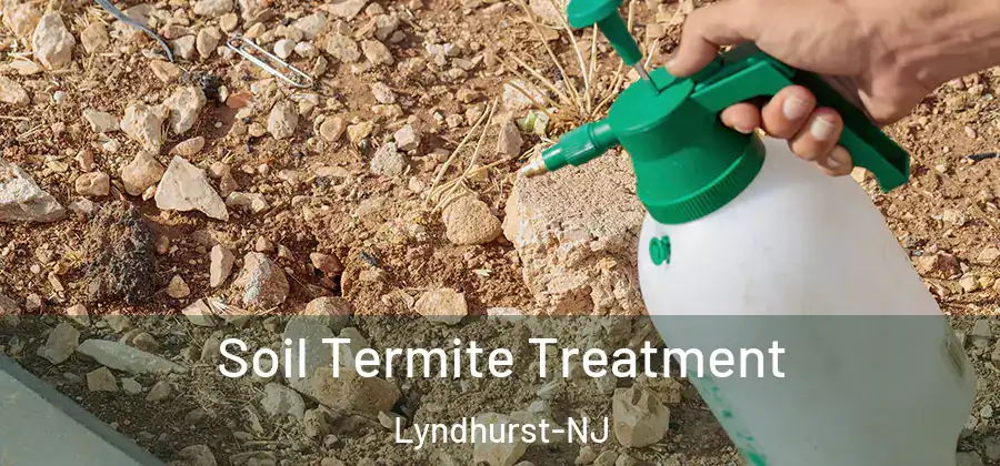  Soil Termite Treatment Lyndhurst-NJ