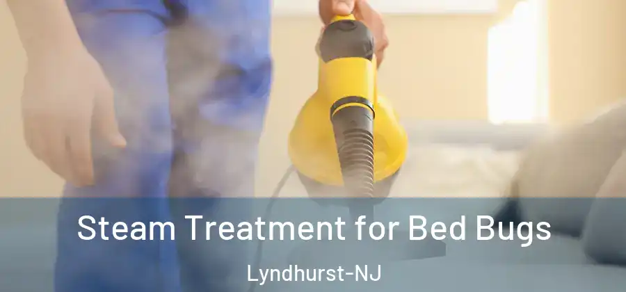 Steam Treatment for Bed Bugs Lyndhurst-NJ