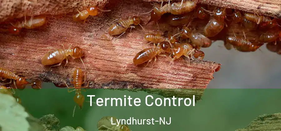  Termite Control Lyndhurst-NJ