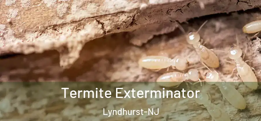 Termite Exterminator Lyndhurst-NJ