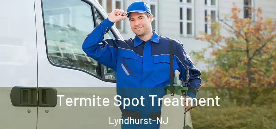  Termite Spot Treatment Lyndhurst-NJ