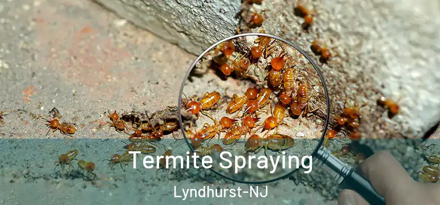 Termite Spraying Lyndhurst-NJ