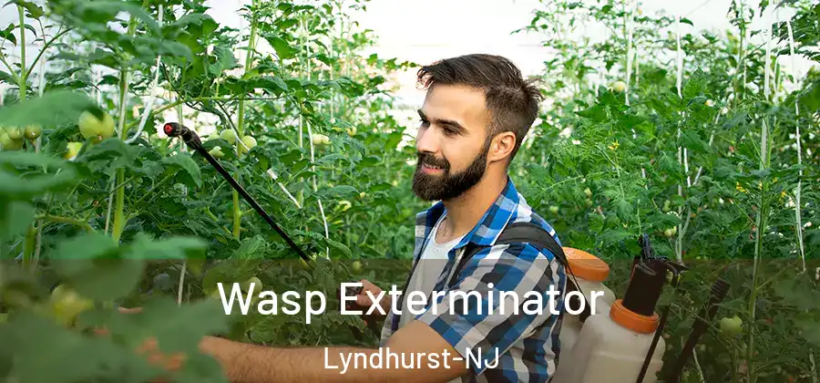 Wasp Exterminator Lyndhurst-NJ