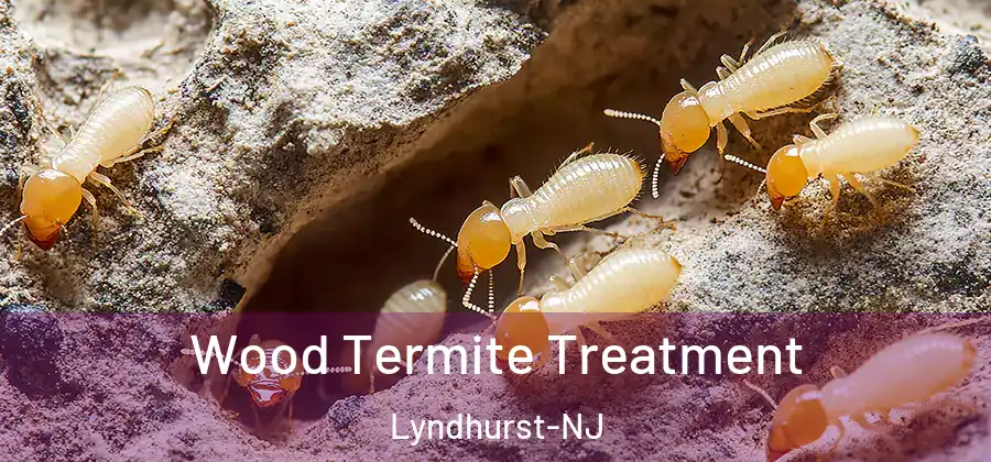  Wood Termite Treatment Lyndhurst-NJ